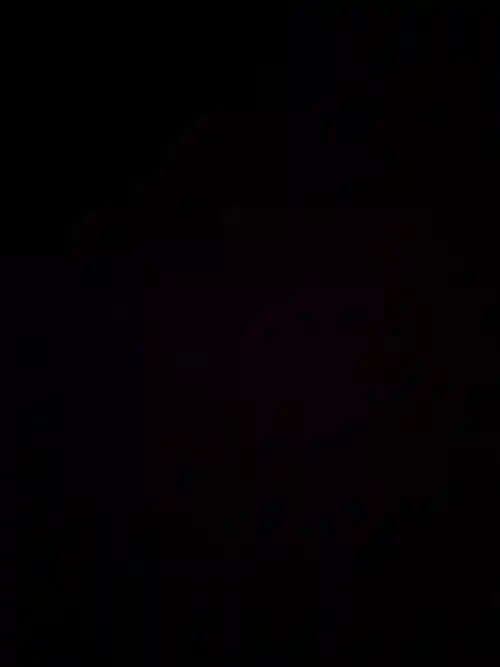 photo de profil de MALEKE ELOCHO